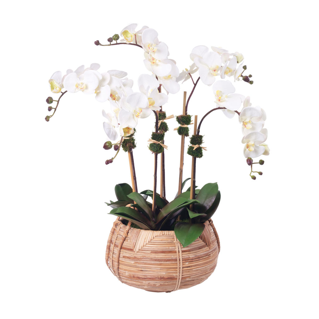Spring Refresh Faux Phalaenopis Orchids